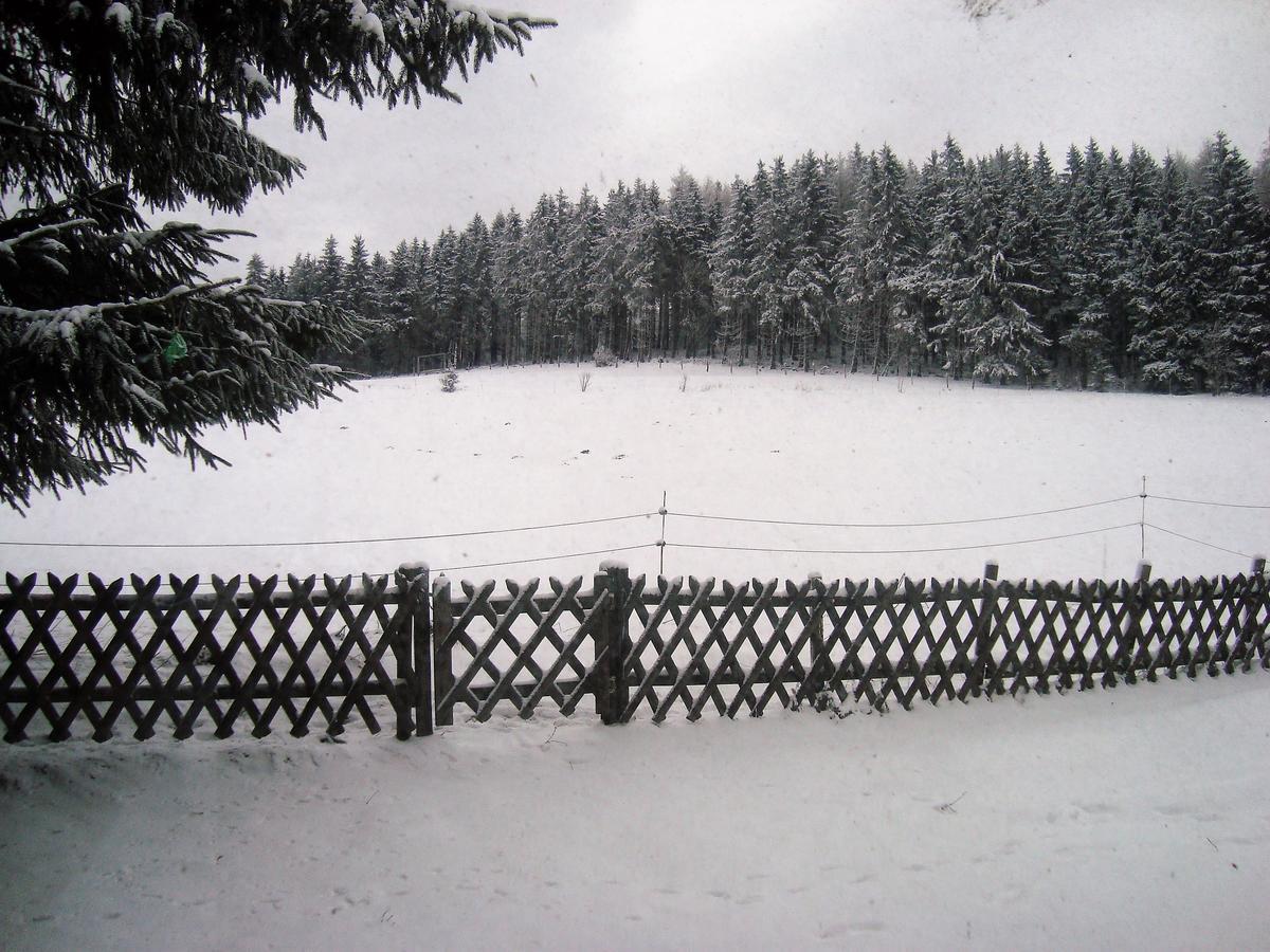 Ferienhaus Beja Winterberg Esterno foto