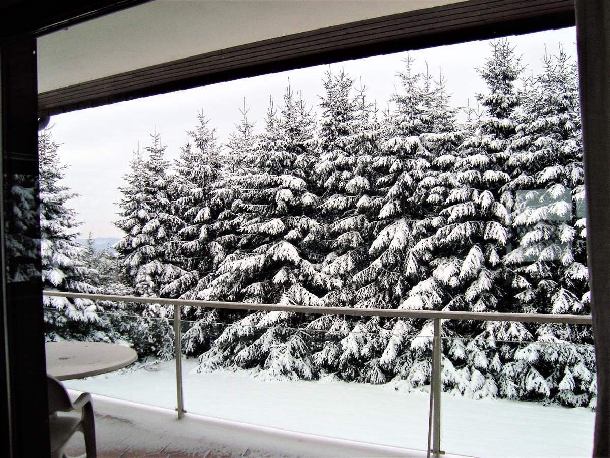 Ferienhaus Beja Winterberg Esterno foto